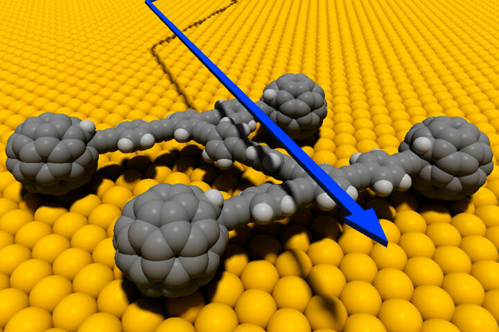 Zwerge mit Potenzial