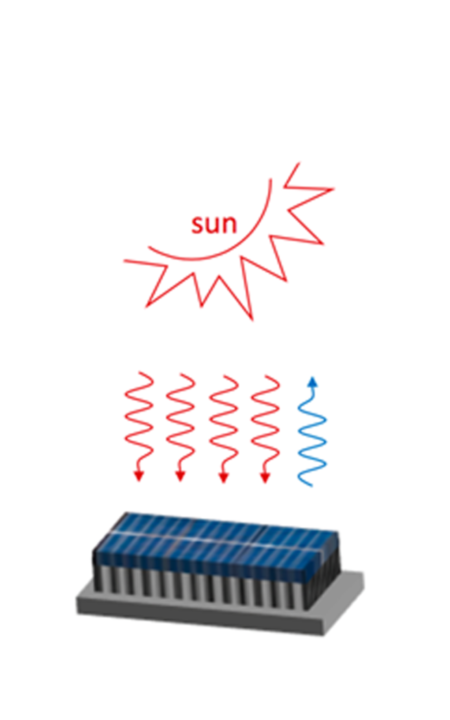 Sonnige Ertr&auml;ge im Dunkeln