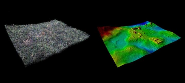 Peering underneath nature’s green cloak: In 2021, the popular “National Geograph ...