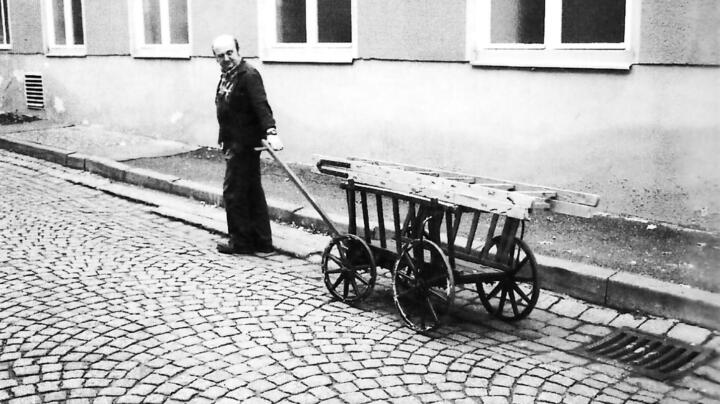 Matriarchin mit Weitblick