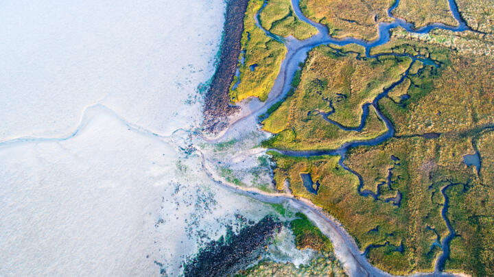 Leben mit dem (Hoch)Wasser