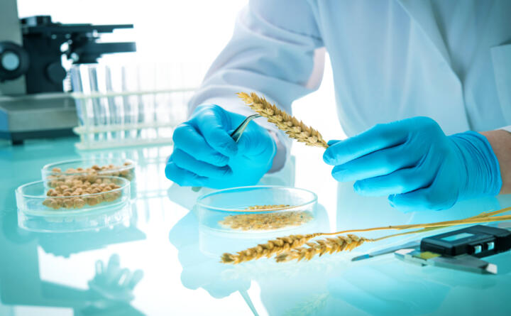 Genetic engineering: On June 26, 2000, American President Bill Clinton said, “To ...
