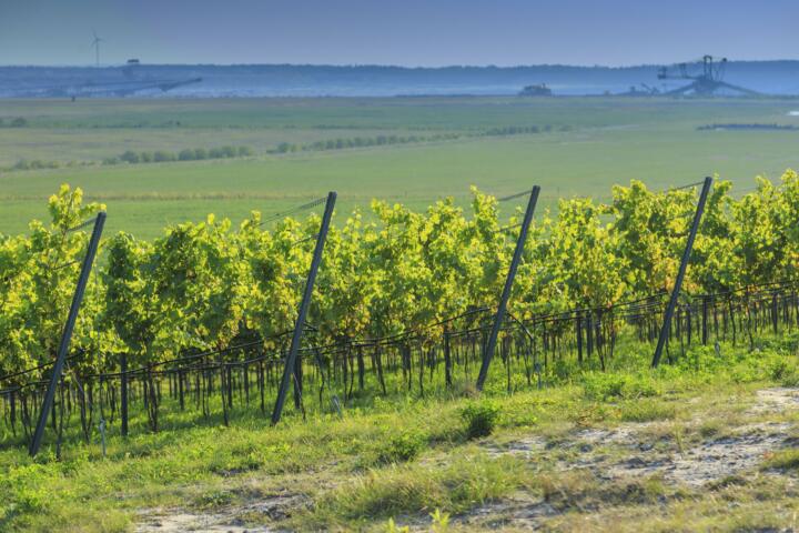 Auferstanden aus Mondlandschaften