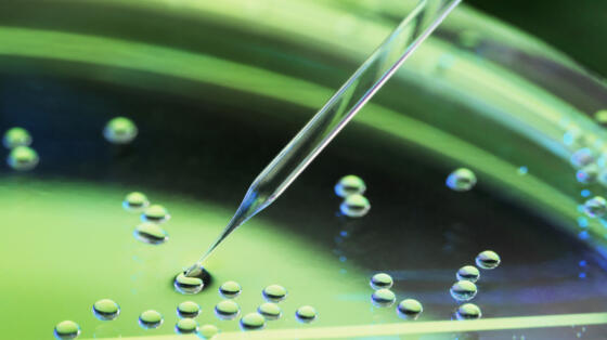 On the road toward a biobased economy