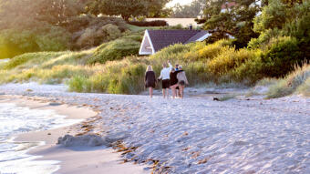 On the way to Cleanland