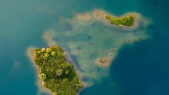 Resurrected from lunar landscapes